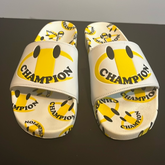 Champion slides - Picture 1 of 1